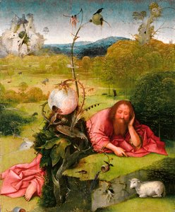 Johannes der Täufer in der Wüste, Spätes 15. Jahrhundert von Hieronymus Bosch