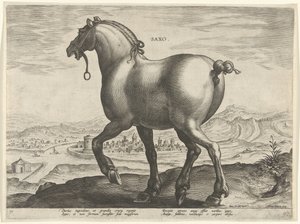 Pferd aus Sachsen von Hieronymus Wierix