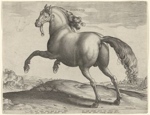 Pferd aus Spanien von Hieronymus Wierix