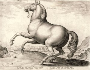 Gallicus aus der Serie Pferde aus dem Stall von Don Juan von Österreich von Hieronymus or Jerome Wierix