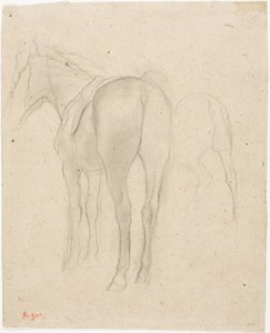 Studien eines Pferdes von Hilaire Germain Edgar Degas