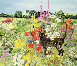 Sommerkatze von Hilary Jones