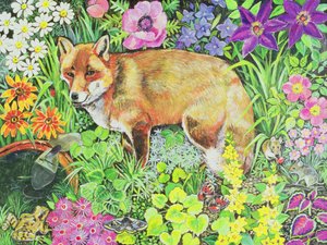 Der Barnet-Fuchs