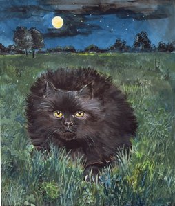 Die Katze und der Mond