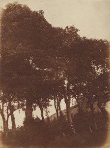 [Feld bei Bonaly] von Hill and Adamson