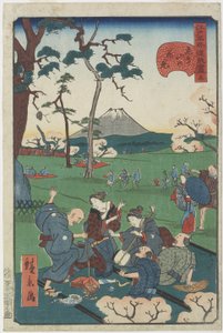 Nr. 5, Kirschblütenbesichtigung am Asuka-Hügel