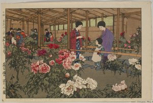 Tokugawa-Pfingstrosengarten, aus der Serie Zwölf Szenen von Tokio, Showa-Ära von Hiroshi Yoshida
