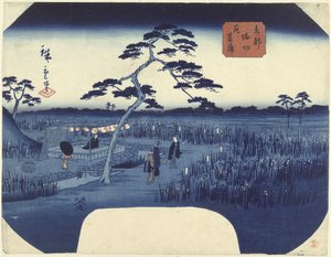 Blühende Schwertlilien in Horikiri in der östlichen Hauptstadt von Hiroshige (II) , Utagawa