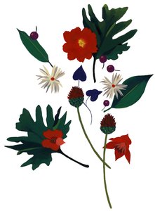 Eine Blume, die dich an Weihnachten denken lässt