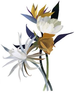 Eine imaginäre Blume mit weißem Grund
