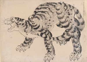 Tiger, 19. Jahrhundert
