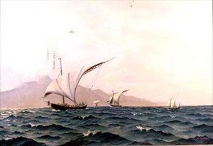 Portugiesische Fischerboote