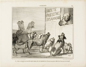 Die Hunde fallen wieder in Verzweiflung, nachdem sie gehört haben, dass es doch eine neue Hundesteuer geben wird, Platte 171 aus Actualités