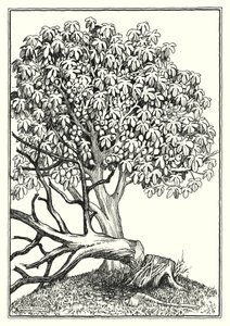 Illustration zur Bergpredigt