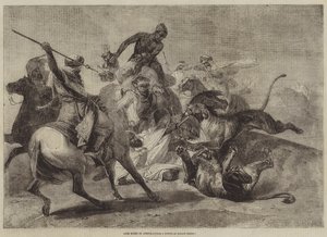 Löwenjagd in Afrika