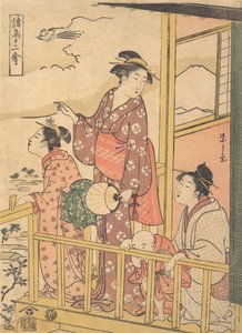 Ein Langschwanzhuhn Onagadori, aus der Serie Zwölf verschiedene Vögel Shocho junikin..., ca. 1791 von Hosoda Eishi