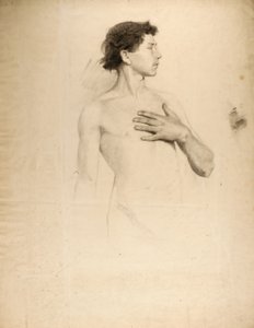 Nackter Junge, Torso und Kopf