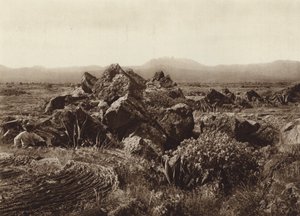 Mexiko: Pedregal, Basalt-Lavastrom nahe San Angel von Hugo Brehme