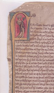 Historiierte Initiale am Anfang der Saga der zwei Apostel Johannes und Jakob, aus Codex Scardensis, ca. 1360