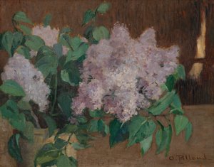 Flieder von Ignace Nazaire Oswald Pilloud