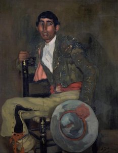 Der Picador
