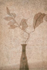 Zarte Sepia-Botanicals von Igor Tokarev