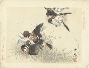 Fünf Spatzen im Kampf (Serientitel: Blumen- und Vogelskizzen von Keinen) von Imao Keinen
