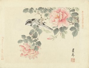 Schwarz-weißes Vögelchen zwischen rosa Rosen von Imao Keinen