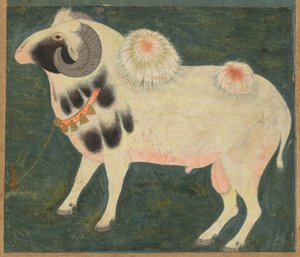 Ein königlicher Widder mit einer Goldkette, ca. 1585 von Indian School