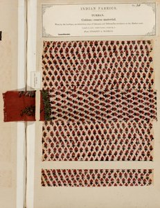 Grobe Baumwollturbaneprobe aus Sydapet in Madras, aus The Collection of the Textile Manufacturers of India, von John Forbes Watson, veröffentlicht 1866