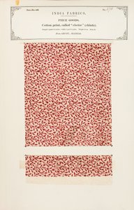Baumwolldruckprobe aus Bellary in Madras, aus The Collection of the Textile Manufacturers of India, von John Forbes Watson, veröffentlicht 1866