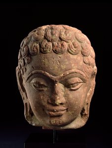 Kopf eines Jain-Tirthankara, Mathura-Region, Kushan-Periode, 3.-4. Jahrhundert n. Chr.
