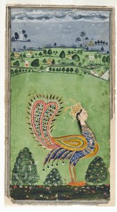 Mythischer Pfau mit Frauenkopf, Hyderabad, ca. 1750 von Indian School