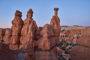 Eine Landschaft im Bryce Canyon Nationalpark, Utah, 2020