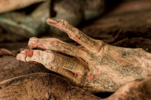 Der Körper der Mumie wurde enthüllt und zeigte gut erhaltene Haut und Tätowierungen an Händen und Armen. Es wurde festgestellt, dass die Mumie weiblich war, was zu diesem Zeitpunkt höchst ungewöhnlich war, da zuvor 