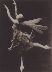 Pavlova in Die Libelle von Ira L. Hill
