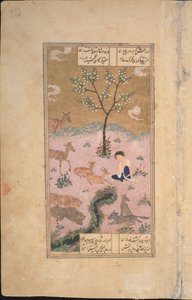 Majnun in der Wüste, 1431