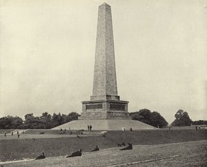 Das Wellington-Denkmal, Phoenix Park von Irish Photographer