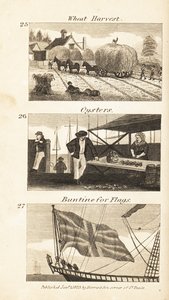 Berufe im Regency-England: Weizenernte, Austern und Buntine für Flaggen