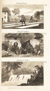 Berufe im Regency-Irland: Bleichen, irische Hütte und Lachssprung