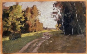 Abend, ein Weg im Wald