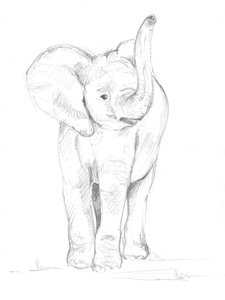 Elefantenbaby 02