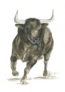 Die Kraft eines angreifenden Stiers