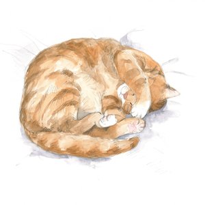 Skizze einer roten Katze