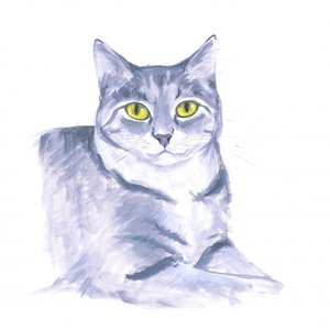 Aufmerksame Katze