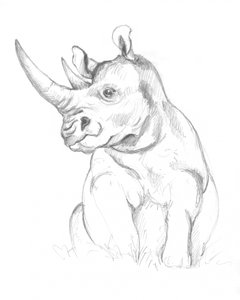 Nashorn