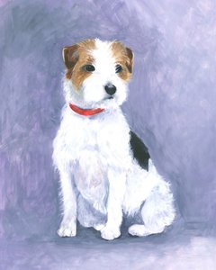 Die Haltung des Terriers