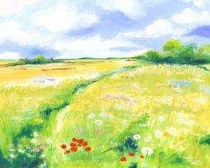Wildblumenwiese