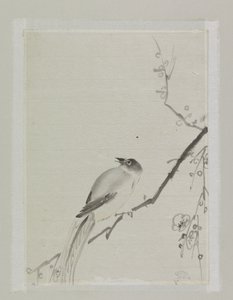 Vogel auf einem Ast eines Kirschbaums von Ishikawa Kazan