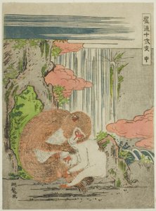 Affe (Saru), aus der Serie "Modische zwölf Tierkreiszeichen (Furyu juni shi)" von Isoda Koryusai